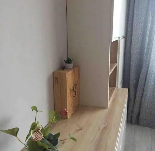 Family- Constanta, La Intrare In Mamaia